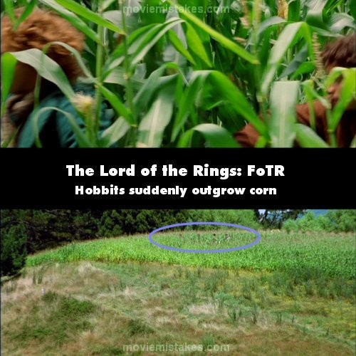 Phim The Lord of the Rings: The Fellowship of the Ring (Chúa tể của những chiếc nhẫn, khi những người Hobbit (người lùn) bị Maggot đuổi, họ chạy luồn qua cánh đồng ngô. Cảnh nhìn gần, người Hobbit thấp hơn cây ngô rất nhiều, nhưng khi chuyển góc quay xa, dường như họ lại cao bằng cây ngô, nếu không muốn nói là cao hơn một chút